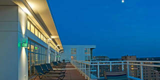 Ovation 309 Gallery 40