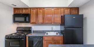 Avistar at Wood Hollow Gallery 1