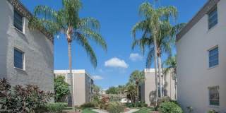 Milo Bayside Gallery 10