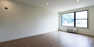 Curio 269 Gallery 11