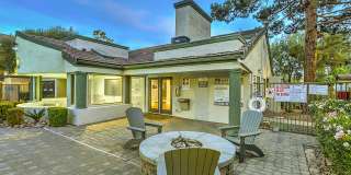 Desert Sage Gallery 55