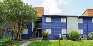 Trenton Place Gallery 42