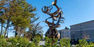 4 Farms at Horse Pen Creek Gallery 28