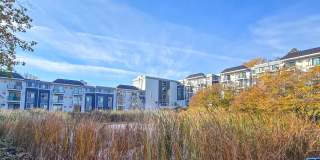 Gleason Lake Gallery 16