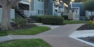 Cedar Glen Gallery 12