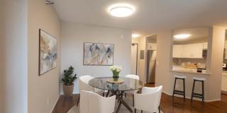 Views of Minnetonka Gallery 5