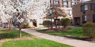 Madison Towers Gallery 30