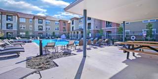 Gala at Melissa - Senior Housing Gallery 10