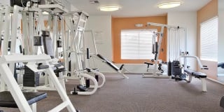 Los Cabos Villas Gallery 8