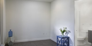 21 and View Gallery 5