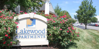 Lakewood Gallery 2