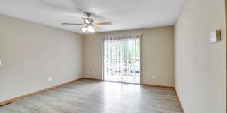 Sunset Woodland Gallery 3