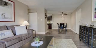 The Harrison Gallery 6