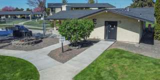 PepperTree Village Gallery 14