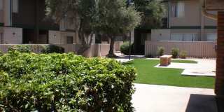 Georgetown Apartments Gallery 5