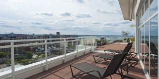 Ovation 309 Gallery 42