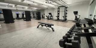 Red Oak at 409 Elm Street Gallery 14