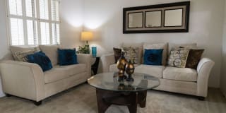 Crest Oasis Gallery 20