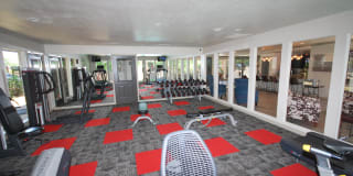 6Eleven Lamar Gallery 14