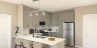 The Canopy The Canopy Gallery 1