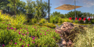 Sandpiper Gallery 20