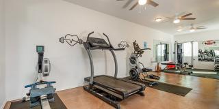 Terra at Enchanted Hills Gallery 13