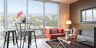 Ovation 309 Gallery 6