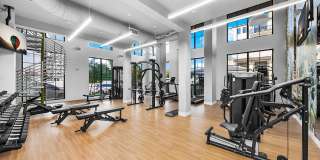 Indigo Palmetto Bay Gallery 21