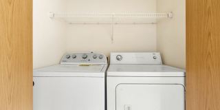Ashford Apartments Gallery 13