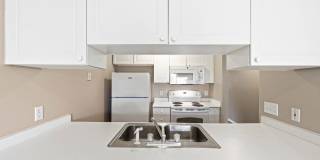4659 Parrau Dr Gallery 8