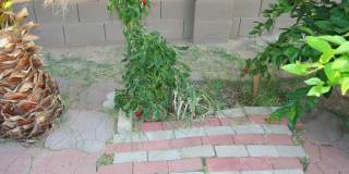 11207 W HOPI Street Gallery 48