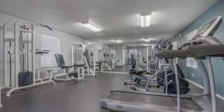 Citrus Grove Apartments Gallery 12