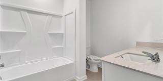 275 PUMA LOOP Gallery 24