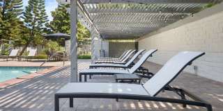 The Pines Apartments Gallery 59