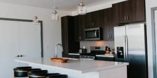 Tanager Tanager Gallery 63