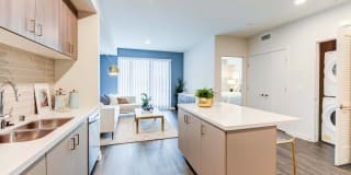 Essence Essence Gallery 2