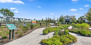 105 Bloomsbury Street Gallery 25