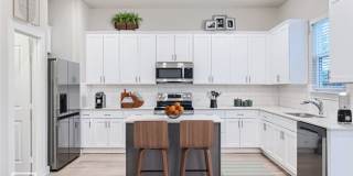 HAMILTON PLAN Gallery 1