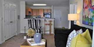 Alexandria Park Gallery 7