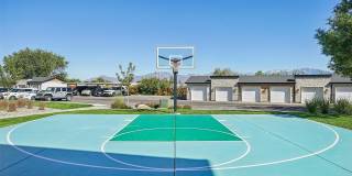 Carrington Square Gallery 38