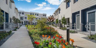 Addison in Palmetto Bay Gallery 23