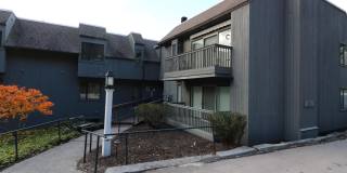 1 Pine Street Gallery 1