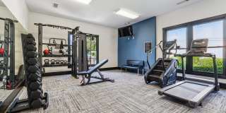 Tree Park Apartments Gallery 48