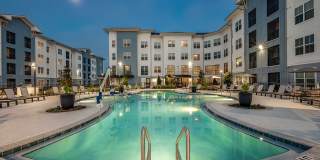 Arcadia 331 Gallery 45