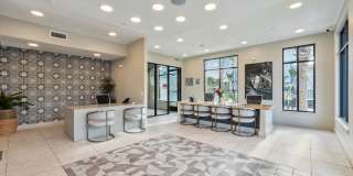 Mosby at Avalon Park Gallery 19