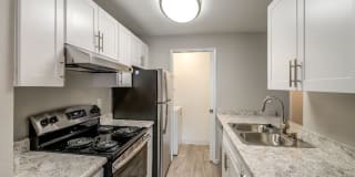Avana Chestnut Hill Gallery 14