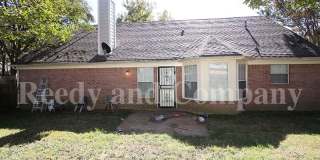 9532 Chi Chi Cv Gallery 19