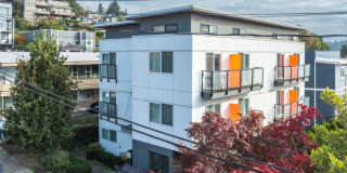 Vistana Vistana Gallery 11