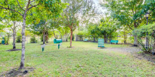 Waterford Place at Riata Ranch Apartments Waterford Place at Riata Ranch Apartments Gallery 13