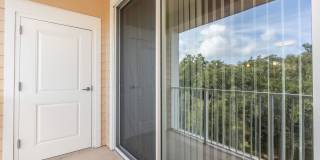 RIZE at Winter Springs Gallery 100